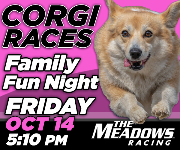 Corgi Racing family fun night at the Meadows 10/14/22